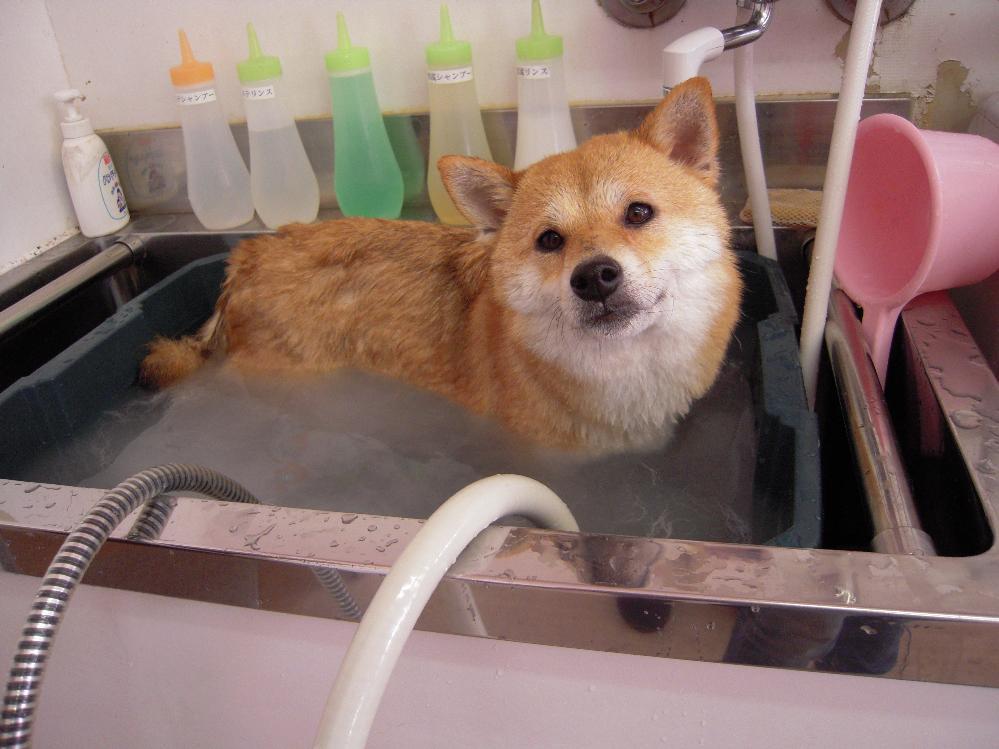 バブルバス 006.jpg